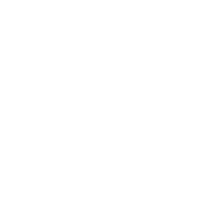 partner-8
